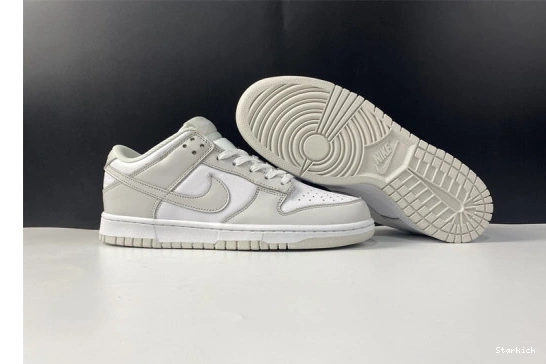 Dunk DD1503-103 "Photon Low Nike Dust" 1022